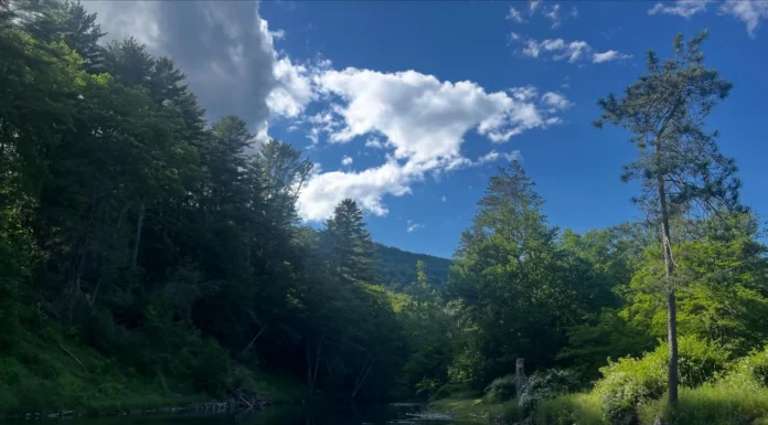 974 | Trout Unlimited’s Chris Wood on Conservation, Public Lands, and the Power of Anglers Trout-Unlimited-Conservation.webp