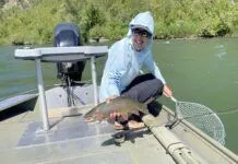 South Fork Snake River Fly Fishing with Michelle Edwards (Traveled #52) South Fork Snake River Fly Fishing
