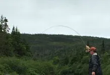 984 | Atlantic Salmon and Sea-Run Trout with Todd Karnas in Newfoundland Todd-Karnas-Atlntic-Salmon-Fishing.