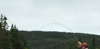984 | Atlantic Salmon and Sea-Run Trout with Todd Karnas in Newfoundland Todd-Karnas-Atlntic-Salmon-Fishing.