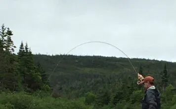 984 | Atlantic Salmon and Sea-Run Trout with Todd Karnas in Newfoundland Todd-Karnas-Atlntic-Salmon-Fishing.