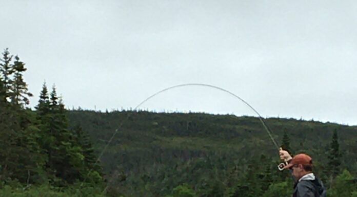 984 | Atlantic Salmon and Sea-Run Trout with Todd Karnas in Newfoundland Todd-Karnas-Atlntic-Salmon-Fishing.