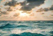 979 | Fly Fishing Belize with Chris Leeman: Permit, Tarpon, and Bonefish Blue Bonefish Lodge Sunset - Fishing Belize