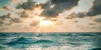 979 | Fly Fishing Belize with Chris Leeman: Permit, Tarpon, and Bonefish Blue Bonefish Lodge Sunset - Fishing Belize