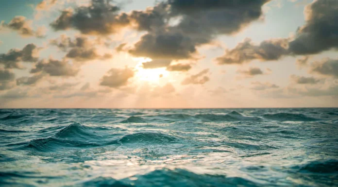979 | Fly Fishing Belize with Chris Leeman: Permit, Tarpon, and Bonefish Blue Bonefish Lodge Sunset - Fishing Belize