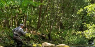 994 | English Trout Fishing with Howard Croston: Dry Flies, Grayling, and Hardy Reels Howard-Croston-English-trout-fishing.