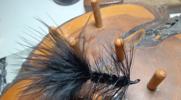 Tying a Black Wooly Bugger – Video wooly bugger