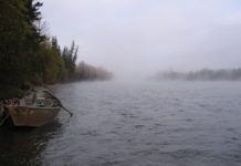 Do You Struggle as a Dad struggle as dad