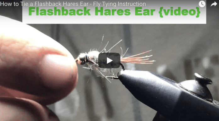 How to Tie a Beadhead Flashback Hares Ear – Fly Tying Video hares ear