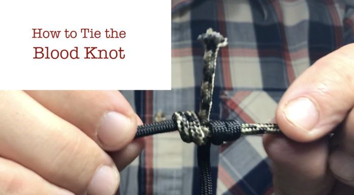How to Tie a Blood Knot – Fly Fishing 101 blood knot