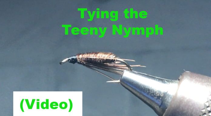 How to Tie a Teeny Nymph – Fly Tying Tutorial teeny nymph