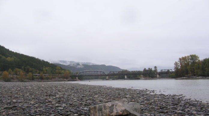 How to Cast a Fly Rod in 7 Steps how to cast