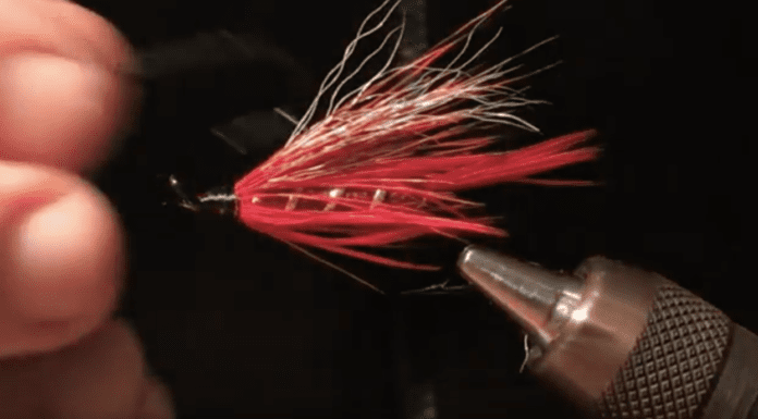 The Summer Crush Summer Steelhead Fly Pattern summer crush steelhead fly