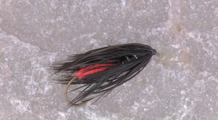 How to Tie a Chaddock Variation – Guest Fly Tying Video chaddock