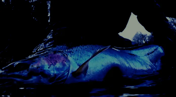 The Ultimate Winter Steelhead Fly Fishing Gear List – Rods, Reels, Fly Lines, Waterproof Bags, Resources