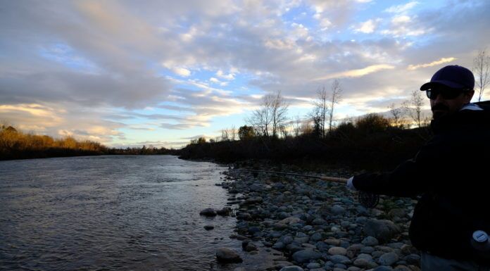 Fly Fishing Founders – Northern California Fly Fishing with Jared Shakin (WFS 168) norther california fly fishing