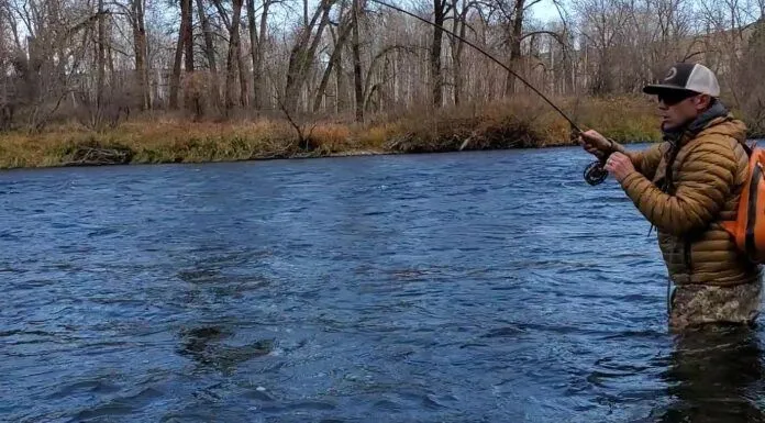 Reds Fly Shop with Joe Rotter — Blue Winged Olive Mayfly Hatch, Yakima River (WFS 186) joe rotter reds fly shop