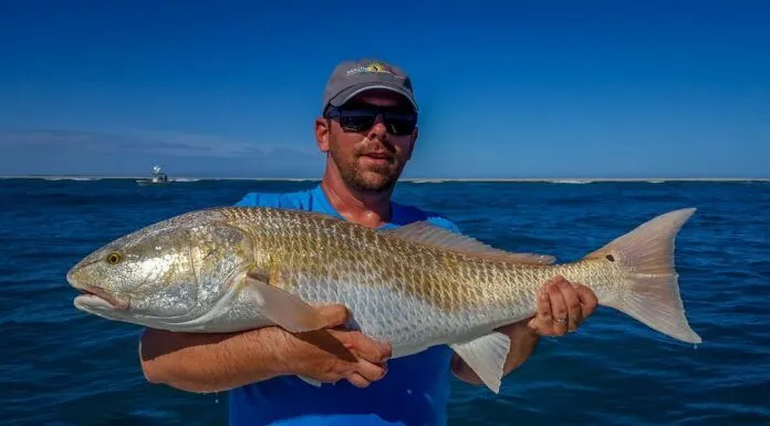 WFS 251 – Fly Fishing for Redfish with John Mauser – Mauser Fly Rods, North Carolina fly fishing for redfish