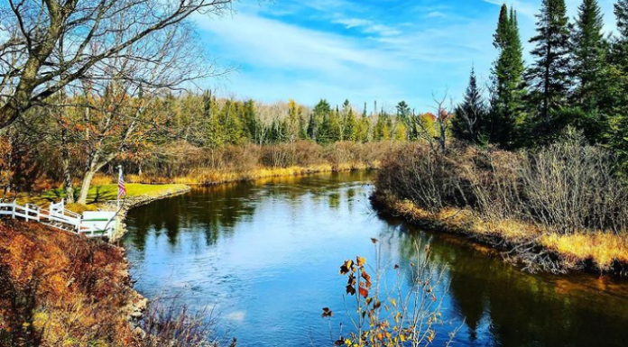 WFS 311 – Streamers for Brown Trout with Brian Kozminski – True North Trout streamers for brown trout