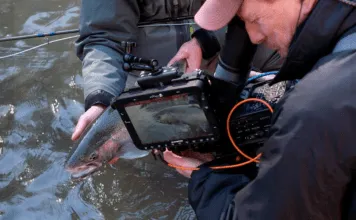 WFS 323 – 9 Great Movies about Fly Fishing with Robert Thompson – Spey Daze, Musky Country movies about fly fishing