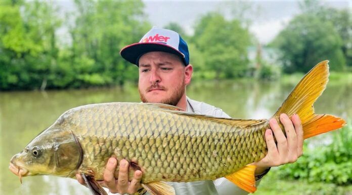 WFS 351 – Virginia Fly Fishing Destinations with Christian Miles + Smallmouth Bass Tips and Tricks virginia fly fishing