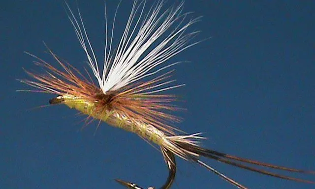 WFS 394 – Fly Tying 101 with Jim Misiura – Money Saving Tips, PA Fly Fishing, Gartside Gurgler Fly Tying 101