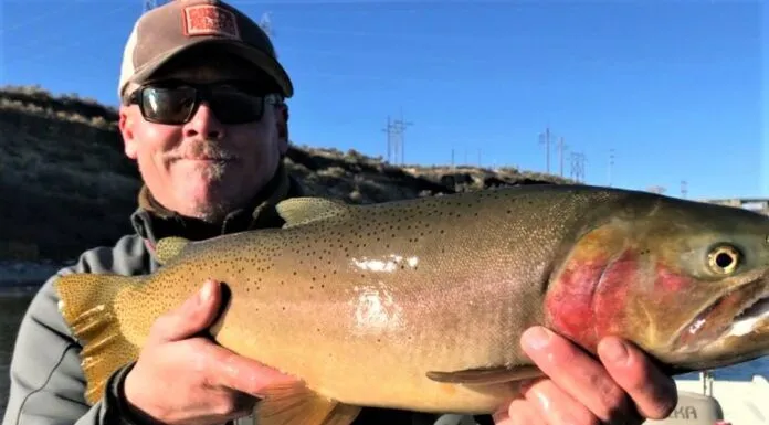 Traveled #5 – Snake River Fly Fishing with Larry Larsen – Smallmouth Bass, Giant Rainbow Trout snake river fly