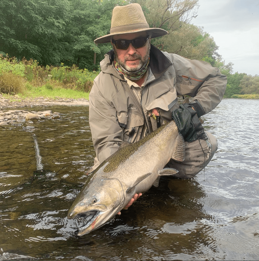 WFS 437 - Fly Fishing New York with Jay Peck - Brown Trout
