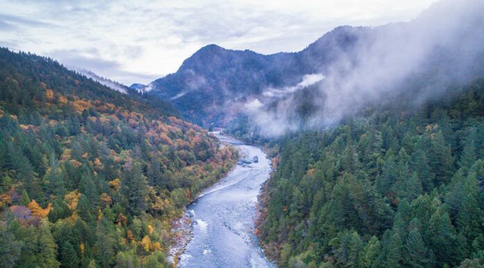 WFS 500 – Klamath Dam Removal with Ann Willis – American Rivers, Snake River, Salmon