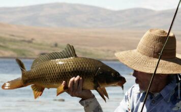 WFS 512 – Fly Fishing for Carp with Bill Marts – Schmoots Clooper, John Gierach, Banks Lake
