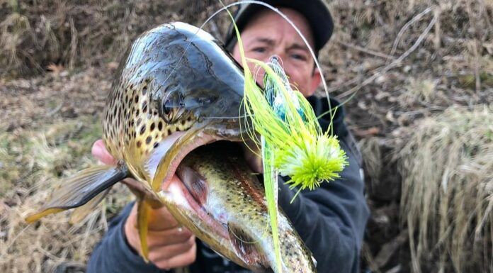 WFS 524 – White River Fly Fishing with Chad Johnson – Big Brown Trout, Big Johnson, Streamer Fishing white river fly fishing