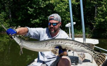 WFS 547 – Freshwater Sight-Fishing with Craig Bailey – Tennessee River, Carp, Gar sight-fishing