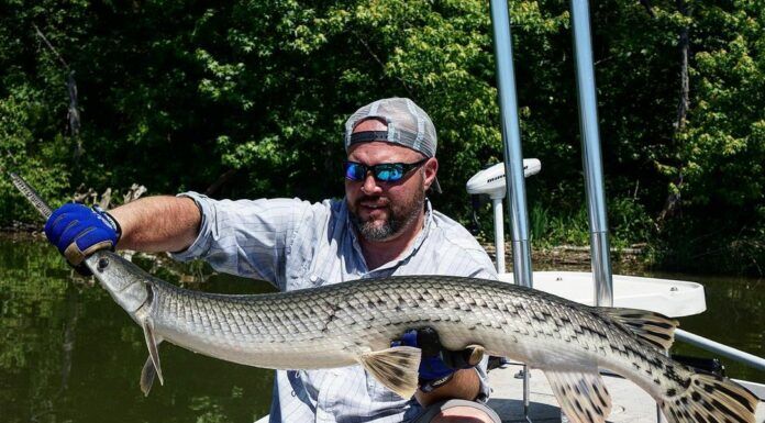 WFS 547 – Freshwater Sight-Fishing with Craig Bailey – Tennessee River, Carp, Gar sight-fishing