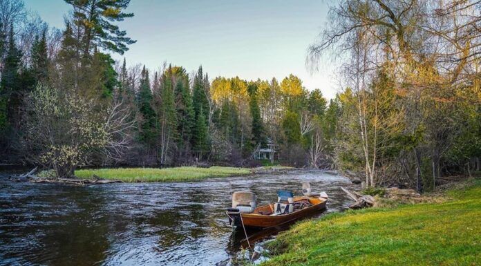 WFS 555 – Au Sable River Fly Fishing with Josh Greenberg – Gates Lodge, Rusty, Hex Hatch au sable river