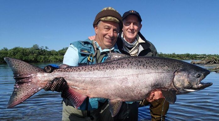 WFS 564 – King Salmon Fishing with Jim Teeny – Teeny Nymph, Alaska, Steelhead king salmon fishing