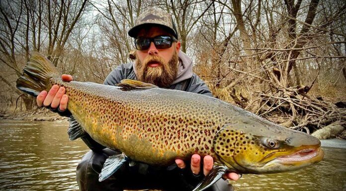 629 | 5 Tips to Improve Your Fly Casting with Kaylyn Hoggard + Bruce Richards’ 6-Step Casting Method 40-inch brown trout