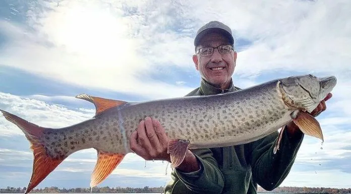 654 | Hunting Musky with a Fly with Rick Kustich — New York, Great Lakes Hunting Musky with a Fly
