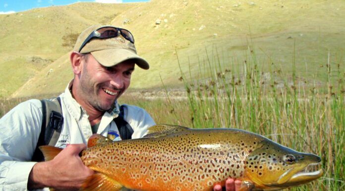 653 | Fly Fishing New Zealand with Ronan Creane – Sight Fishing, Brown Trout, Ireland fly fishing new zealand
