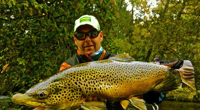 724 | Streamer Fishing for Trout with Tommy Lynch – Fish Whisperer, Pere Marquette River, Small Creek