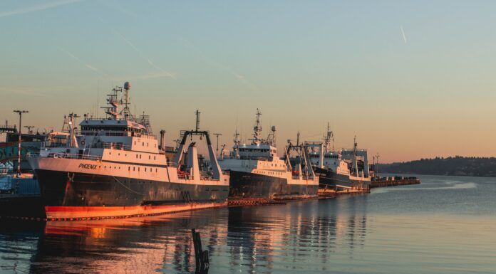 734 | The Bycatch Crisis with Adam Cuthriell: How Trawlers are Killing Alaska’s Wild Salmon bycatch