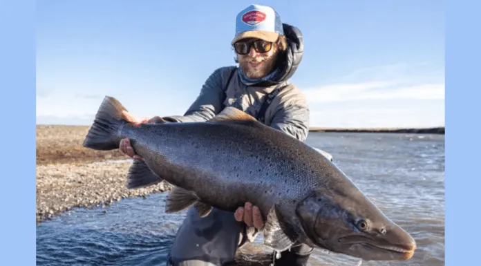 726 | Guideline Fly Fishing Max Kantor – Choosing a Spey Line, Kola Peninsula, Steelhead max kantor fly fishing