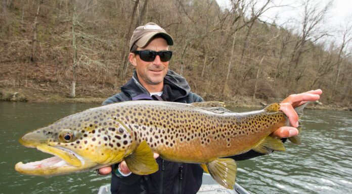 CJ’s Reel Southern Podcast #1 | Chad Johnson and Alex Lafkas – Streamers from Michigan to Arkansas alex lafkas