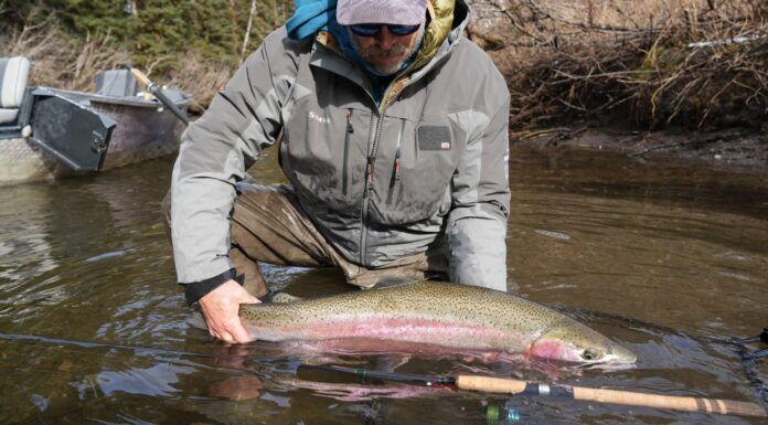 748 | Top 7 Alaska Fish Species to Target with Marcus Weiner of Fish Alaska Magazine Alaska Fish Species