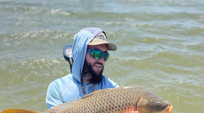763 | Urban Fly Fishing in Phoenix with Derek Rivchin – Carp on the Fly, Canal Tactics, Lo Water Guide Service