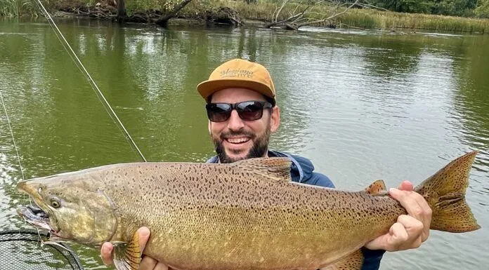 Great Lakes Dude #13 | Sight Fishing for Smallmouth and Salmon with Phil Cook – Fishing Tools, Backeddy Sales