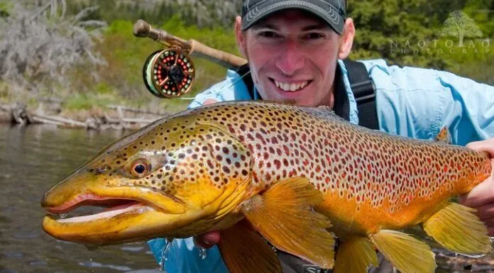 777 | Fly Fishing the Bow River with Josh Nugent of Out Fly Fishing Fly Fishing the Bow River