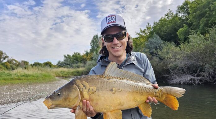 Littoral Zone #19 | Stillwater Fly Lines, Leaders, and Tippets with Chris Walker of Rio Products