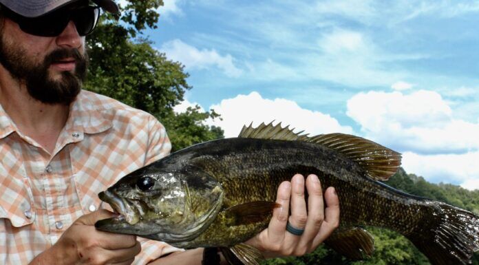 791 | Smallmouth Bass Fishing with Wesley Hodges – Virginia