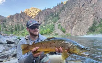 799 | Night Fishing for Brown Trout in Pennsylvania with Frank Landis Night Fishing for Brown Trout