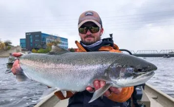 803 | Michigan Salmon and Steelhead with Christian Gradowski – TroutRoutes, Great Lakes Michigan Salmon and Steelhead